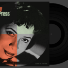 WordPress 6.4 “Shirley”: A Blend of Functionality and Aesthetics